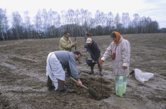 Planting an apple-tree orchard at a commune of Krishna followers