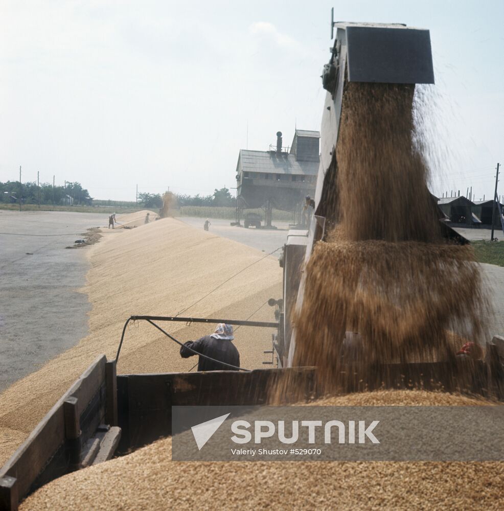 Transporting grain