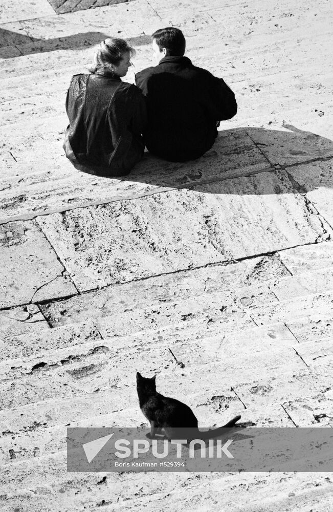 A black cat behind a couple