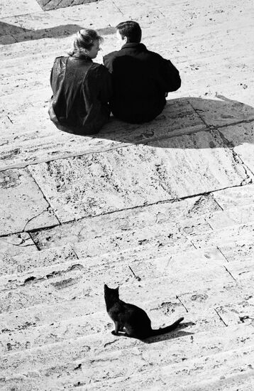 A black cat behind a couple