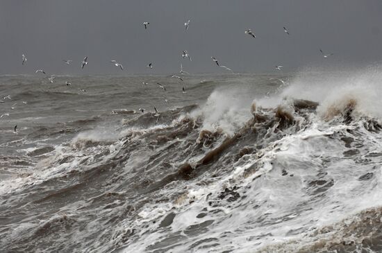 Storm in Sochi