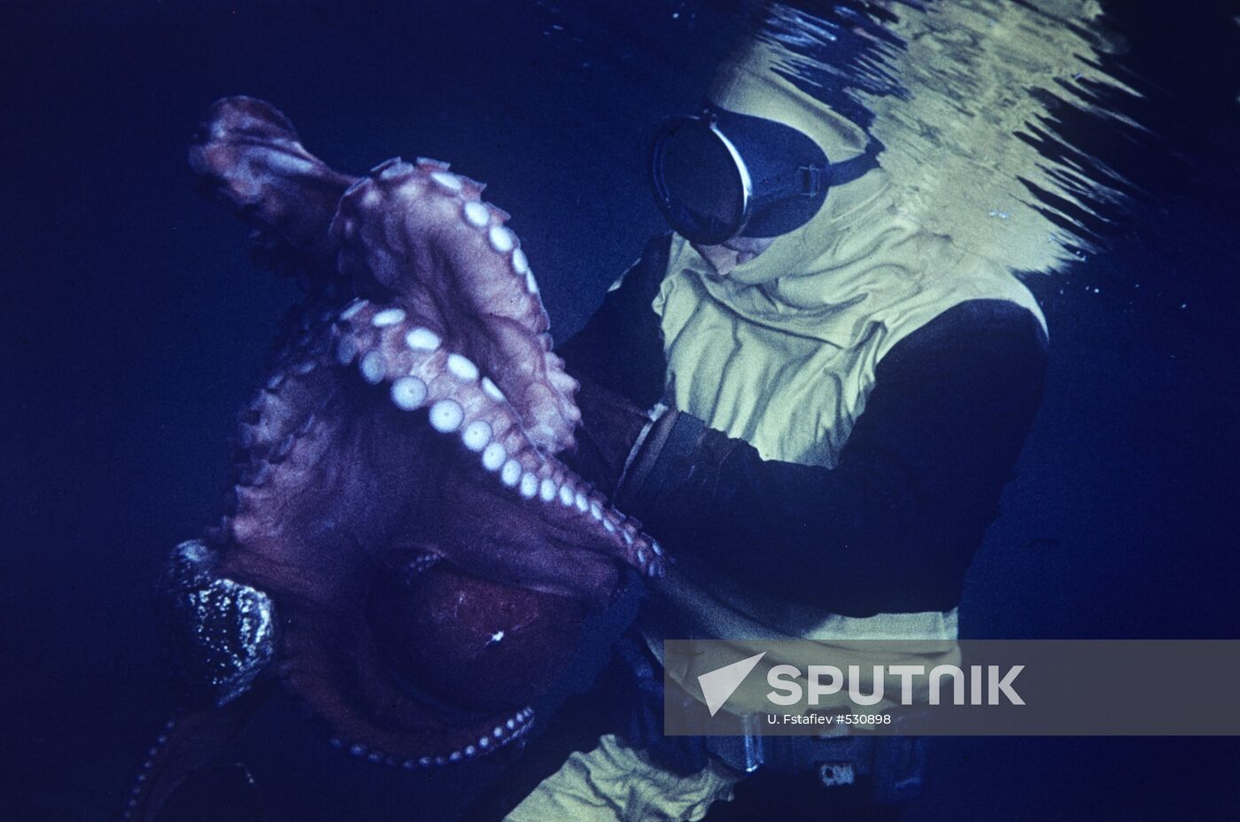 Scuba diver with octopus