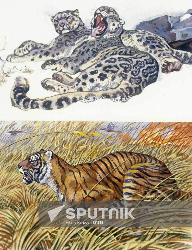 Illustration for "Rare and Endangered Animals of USSR..." book