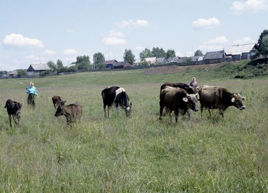 Monastery pasture