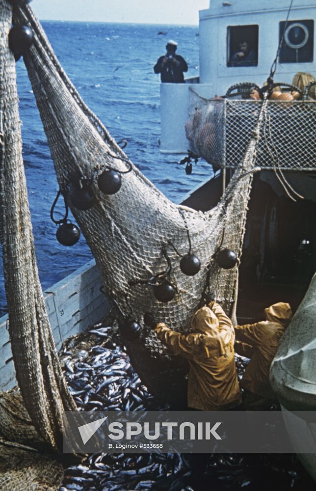 Trawl full of fish lifted from the water onto seiner