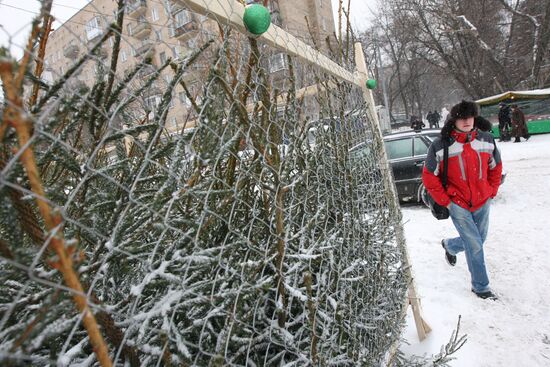 Fir-tree market in Moscow