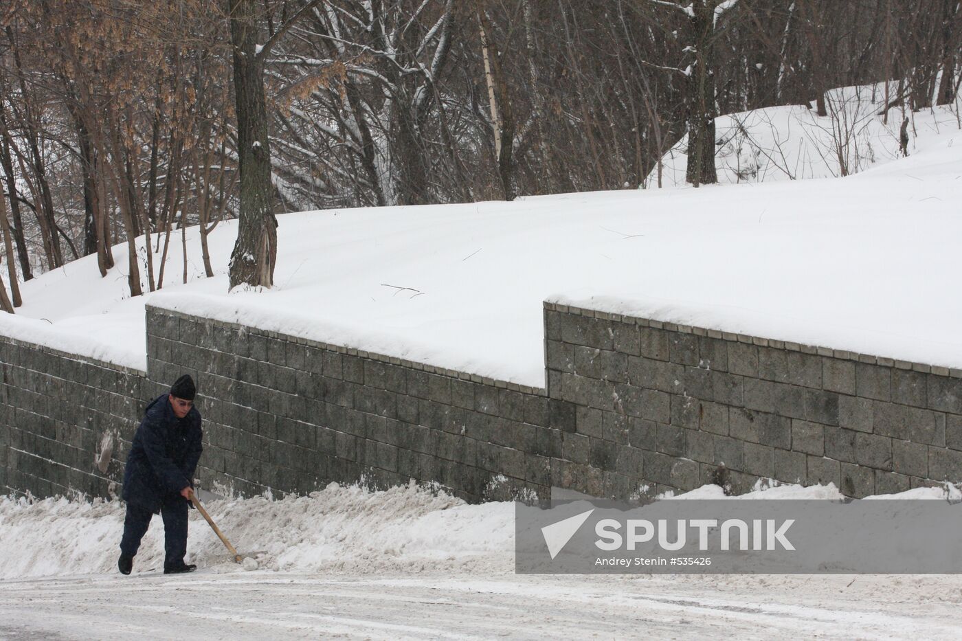 Snowfall in Moscow