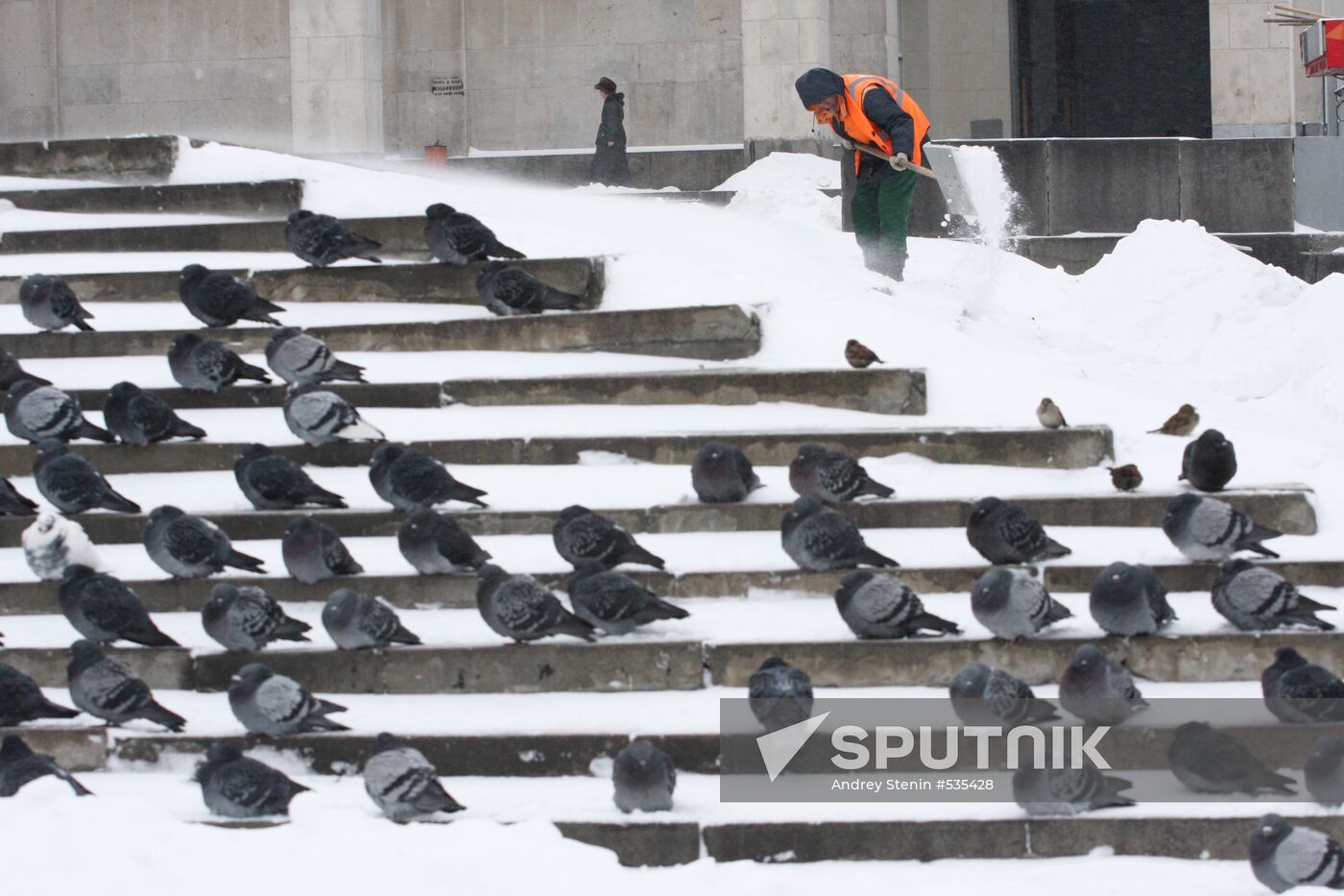 Snowfall in Moscow