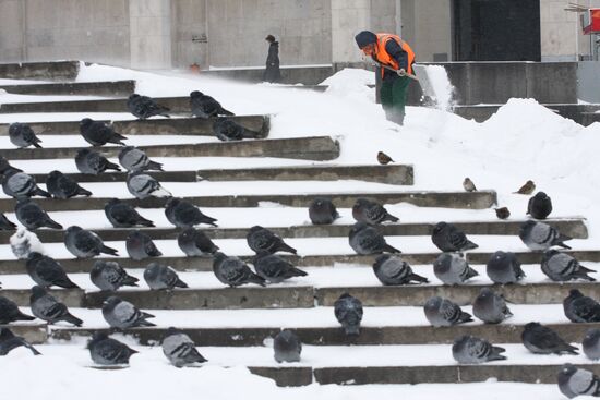 Snowfall in Moscow