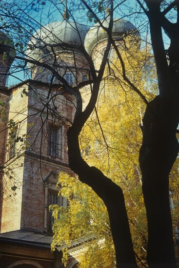 The Cathedral of the Virgin