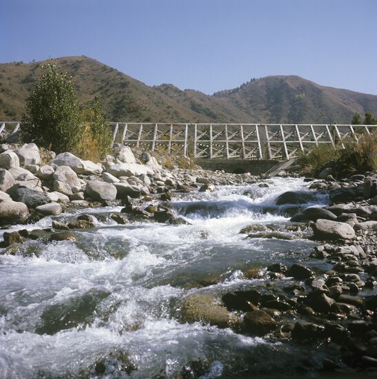 Mudflow traps