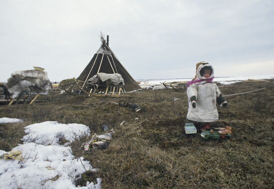 Reindeer breeders camp