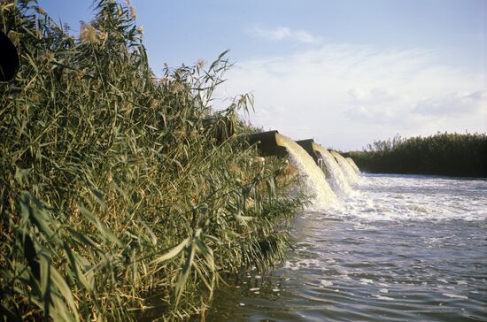 Sprinklers in Astrakhan region