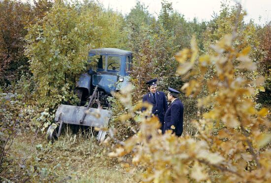 Dashevskoye forestry, Vinnitsa Region