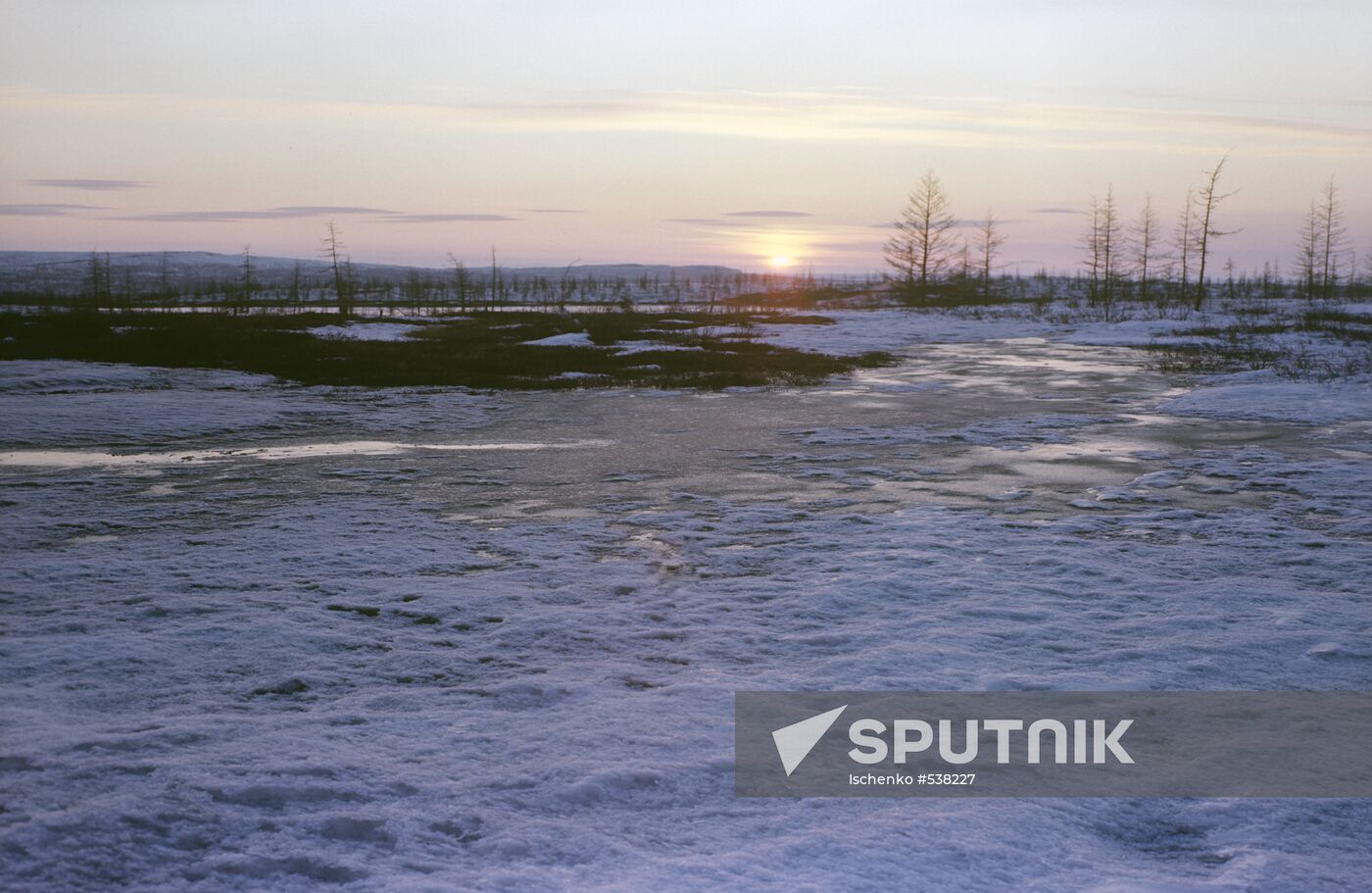 Taymyr Peninsula