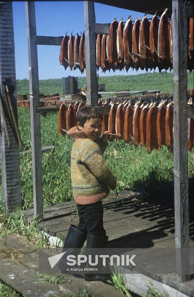 Salmon sun drying