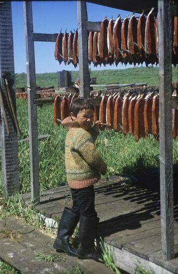 Salmon sun drying