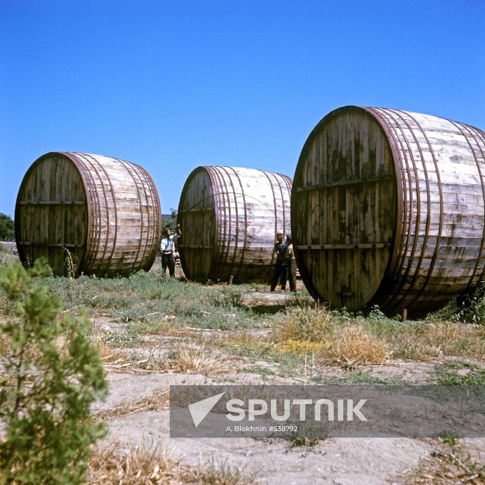 Derbent cognac plant. Cognac barrels