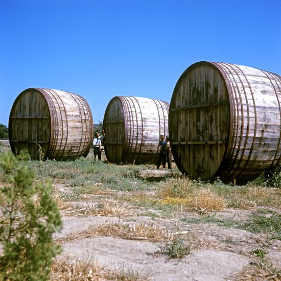 Derbent cognac plant. Cognac barrels
