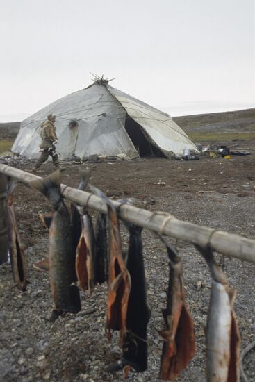 Salmon sun drying