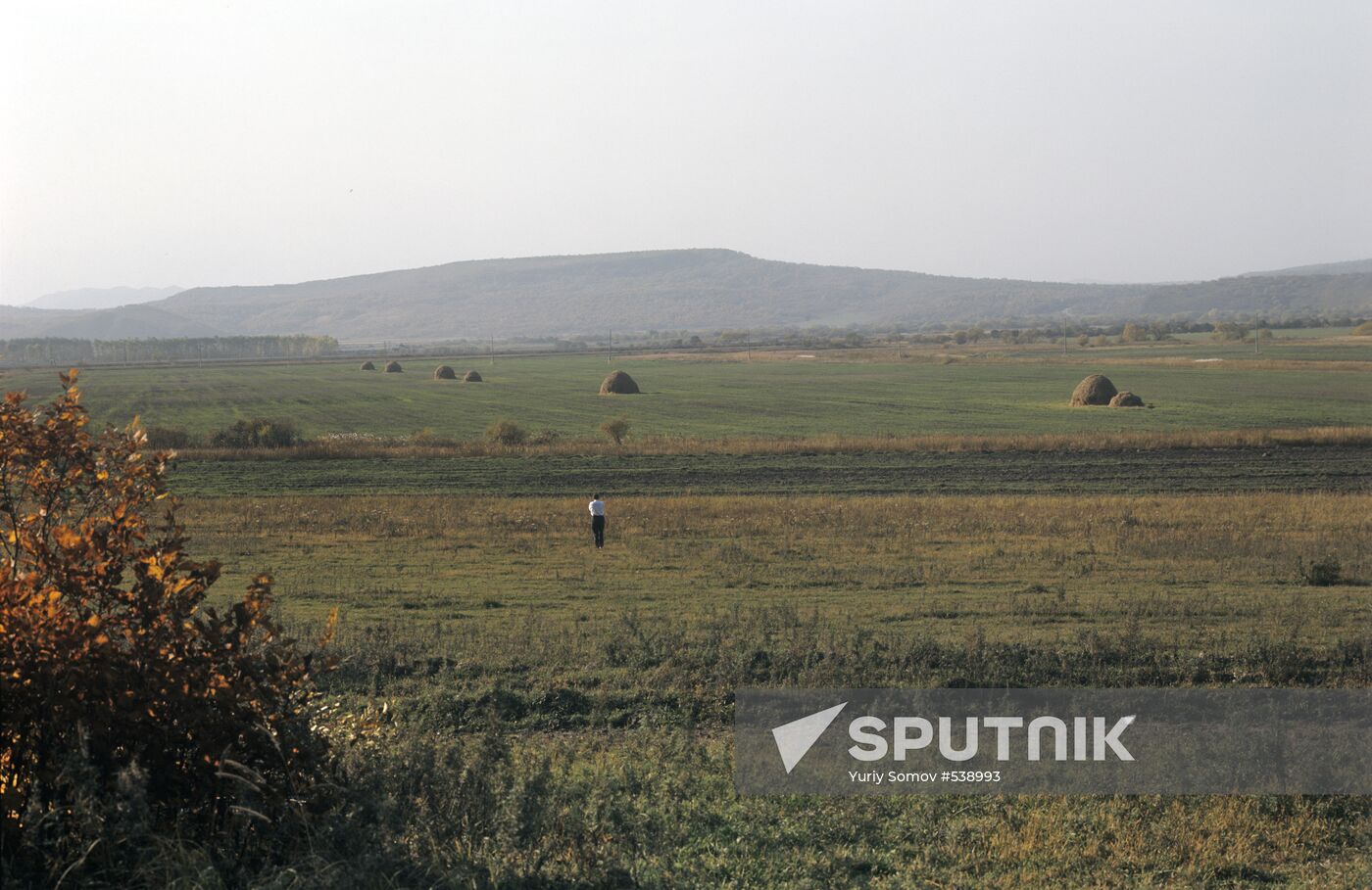 Steppe in Primorsky Krai