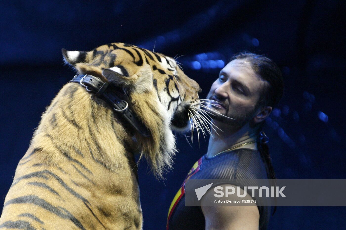 Zapashny Brothers Circus presents New Year show in Moscow