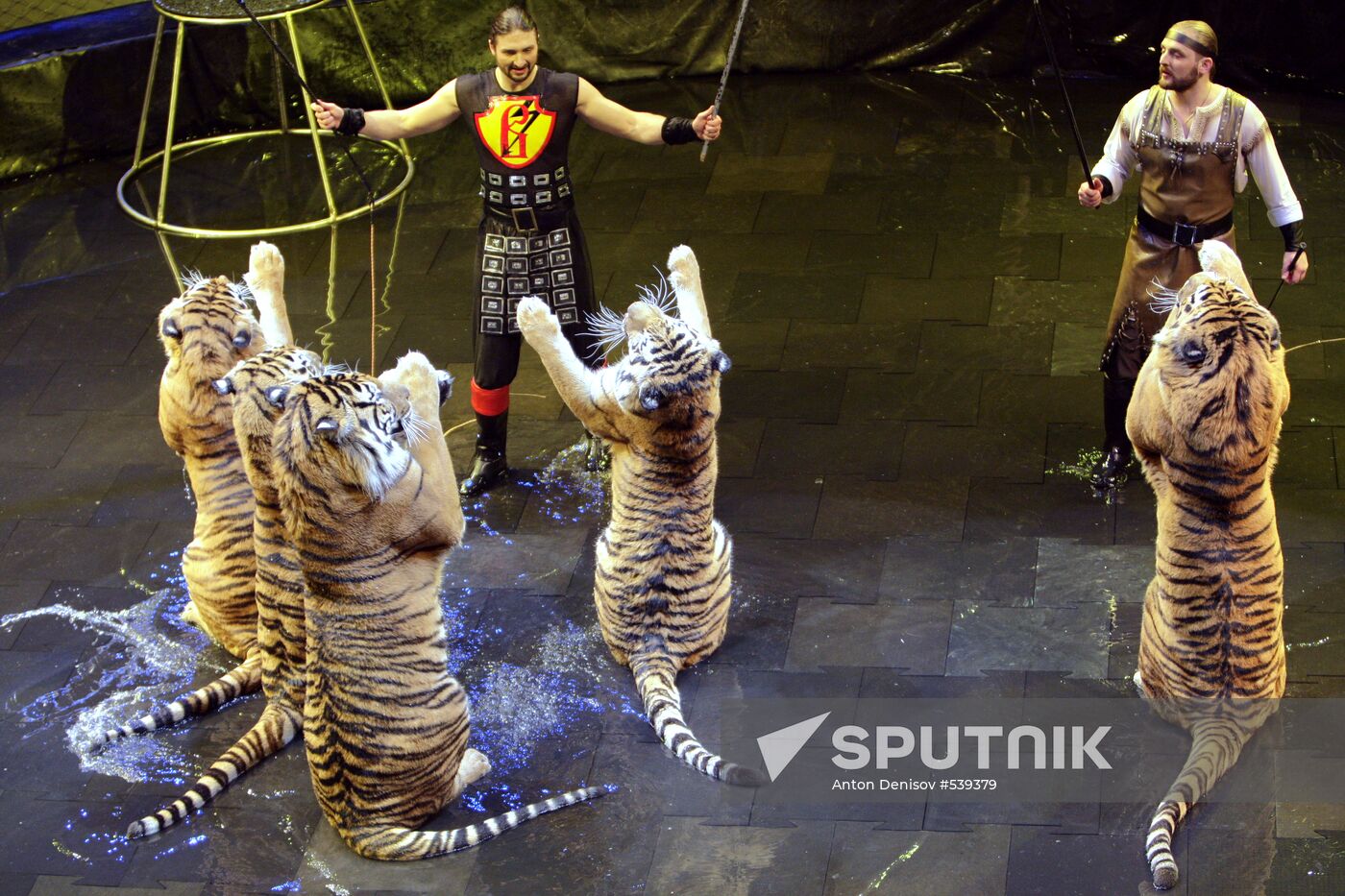 Zapashny Brothers Circus presents New Year show in Moscow