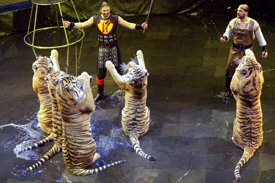 Zapashny Brothers Circus presents New Year show in Moscow