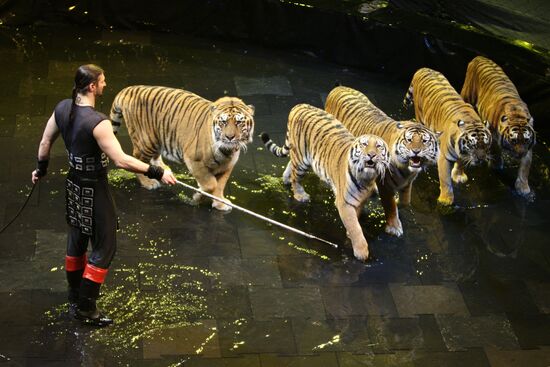 Zapashny Brothers Circus presents New Year show in Moscow