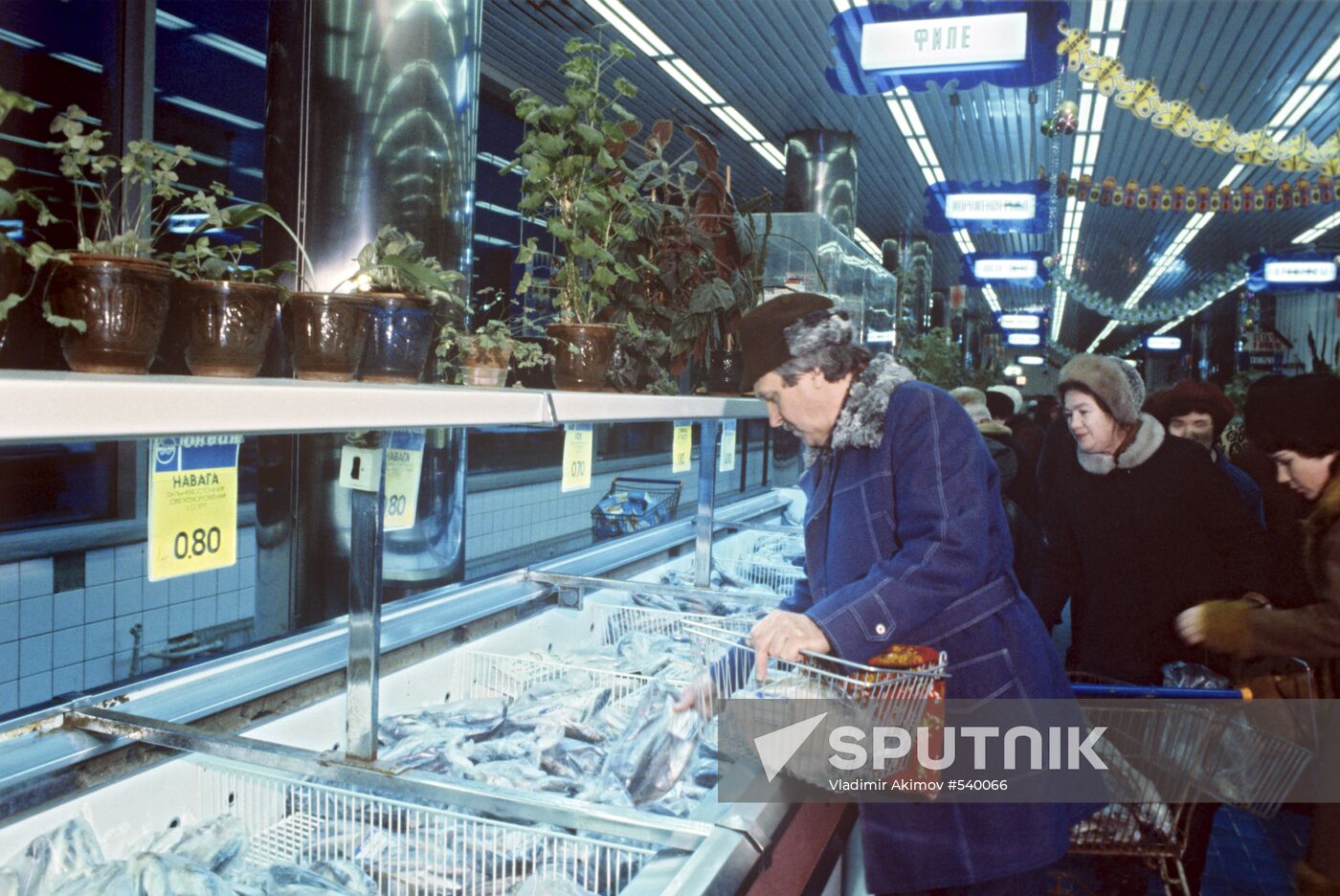 Okean sea food store