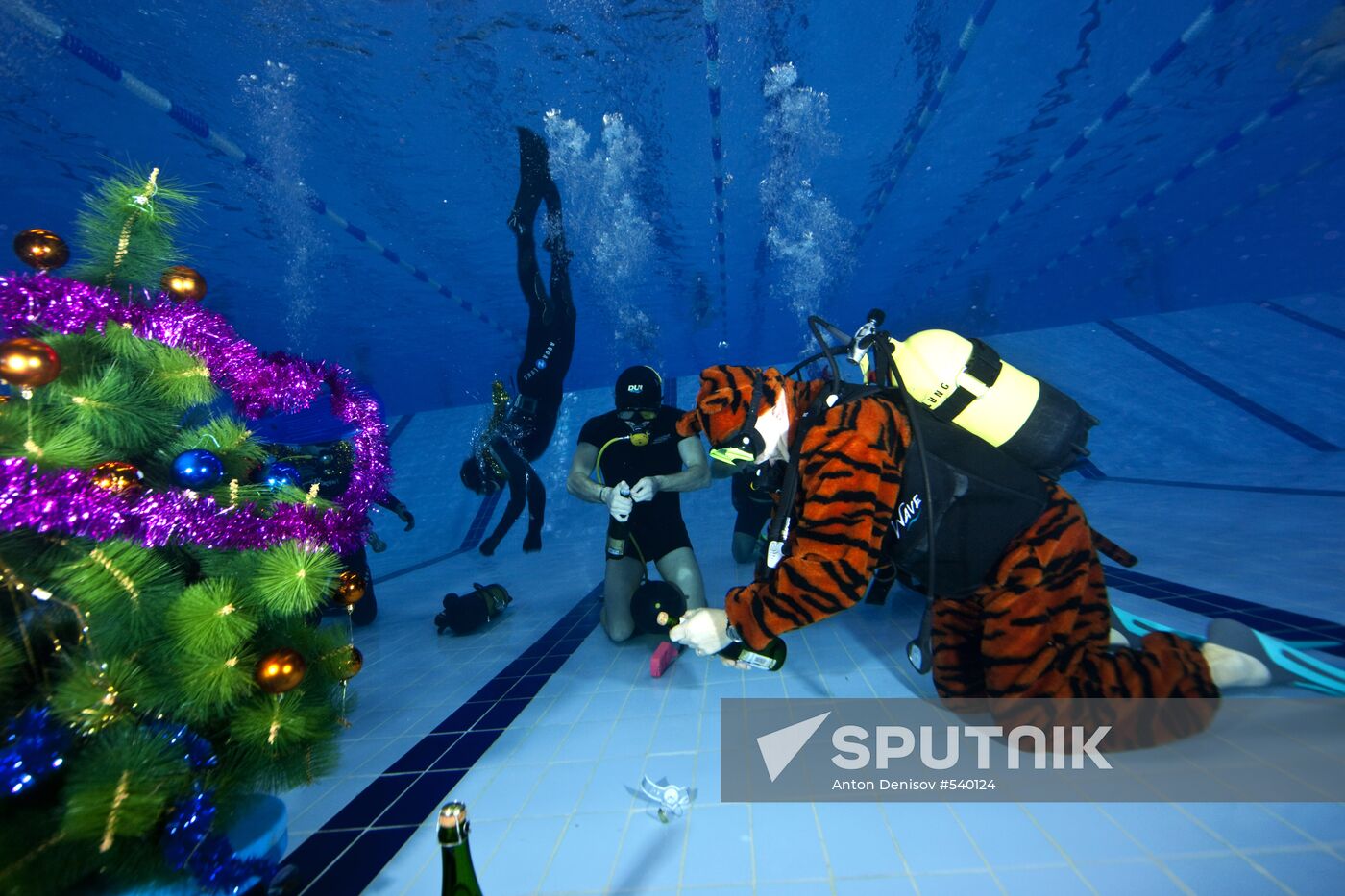 Western Bridge club see New Year in underwater