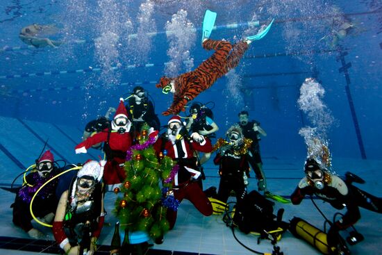 Western Bridge club see New Year in underwater