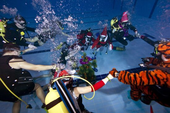 Western Bridge club see New Year in underwater
