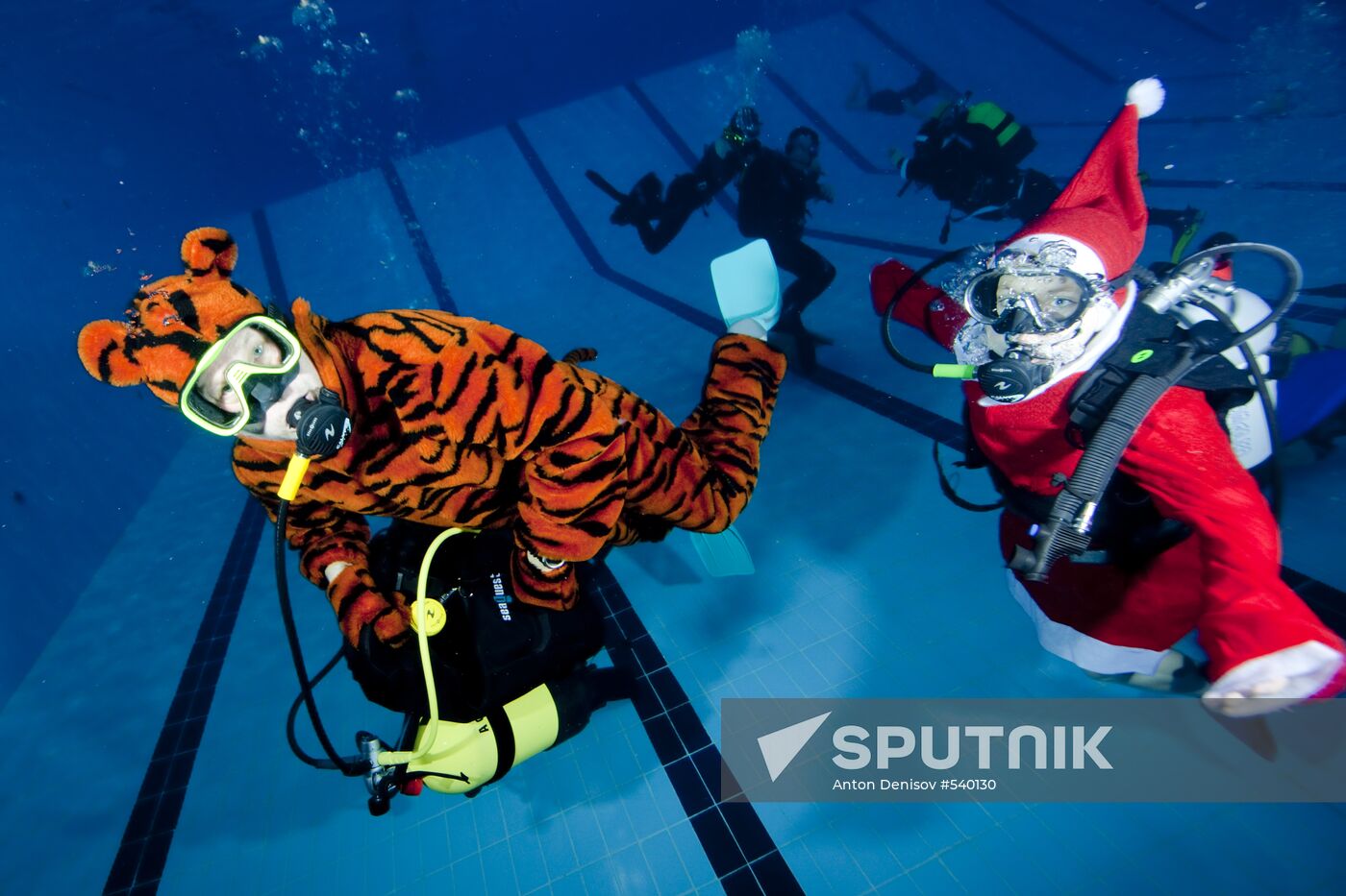 Western Bridge club see New Year in underwater