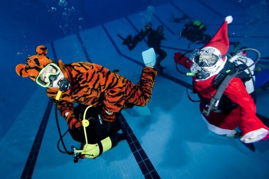 Western Bridge club see New Year in underwater
