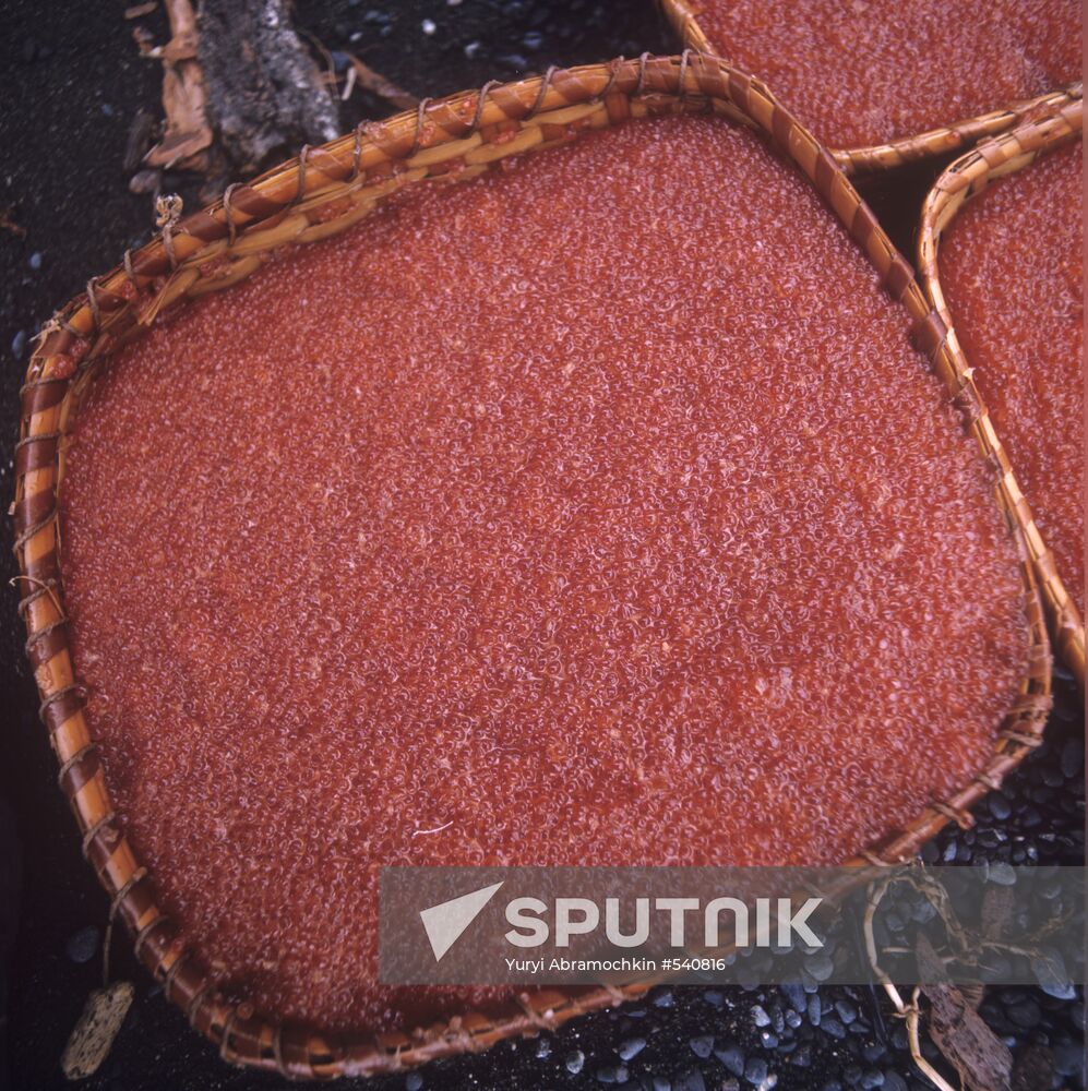Salmon caviar