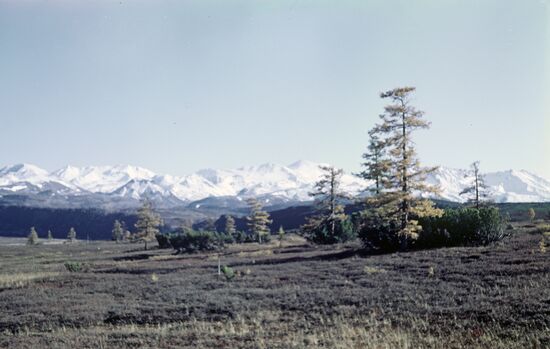 Kamchatka landscape