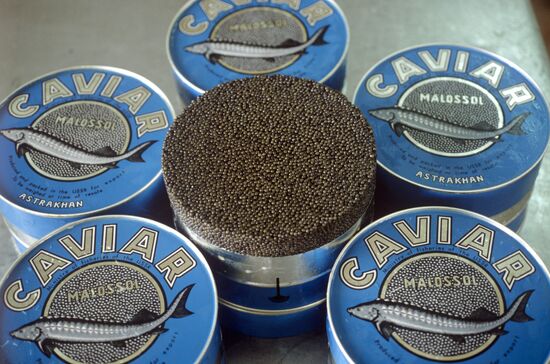 Sturgeon caviar