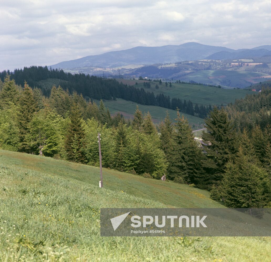 Transcarpathian region