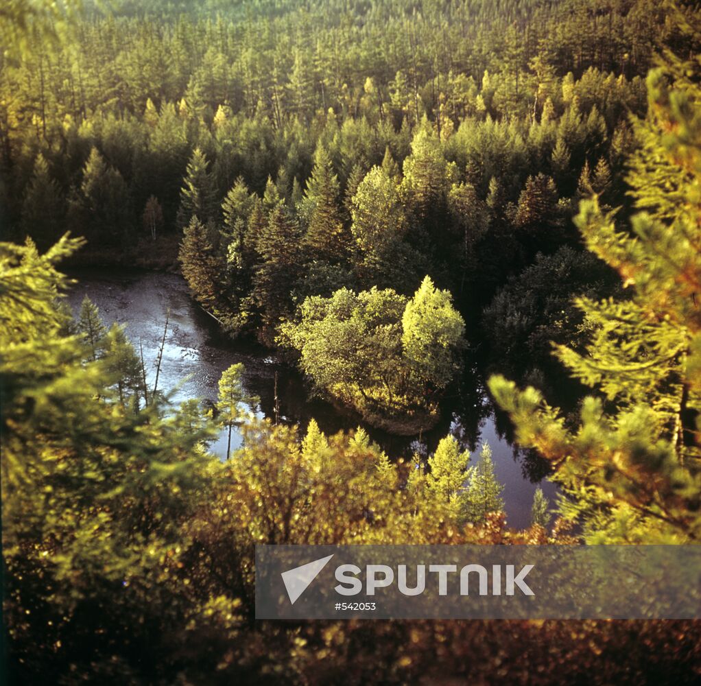 Komsomolsk State Natural Reserve