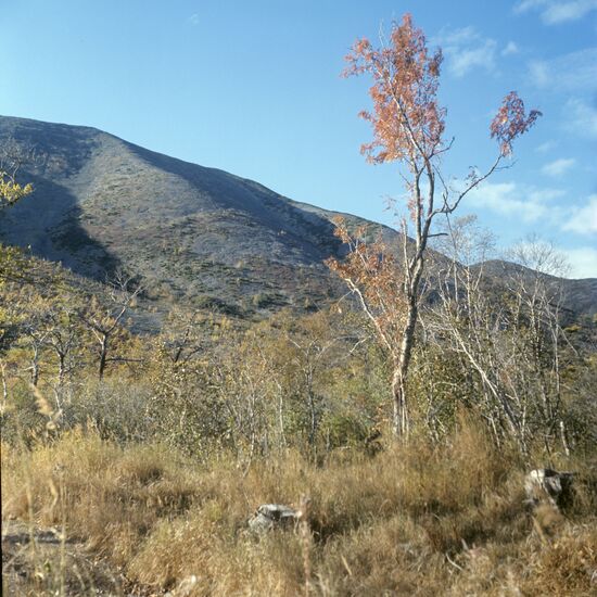 Kolyma highlands