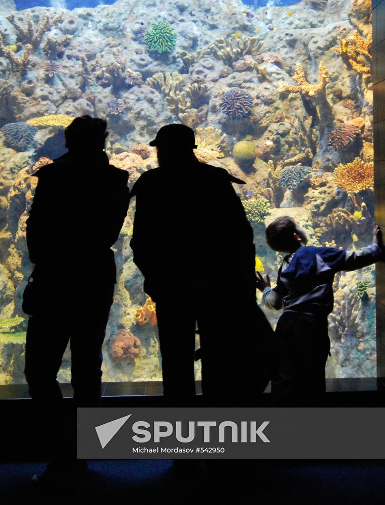 Sochi Discovery World oceanarium opening (Sochi)