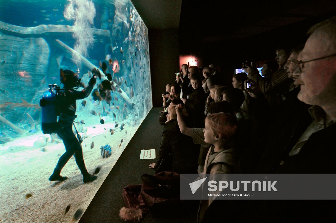 Sochi Discovery World aquarium