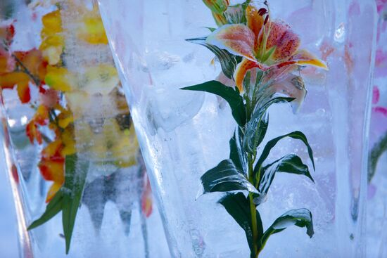 Vyugovei 2010 Ice Sculpture Festival opens in Moscow
