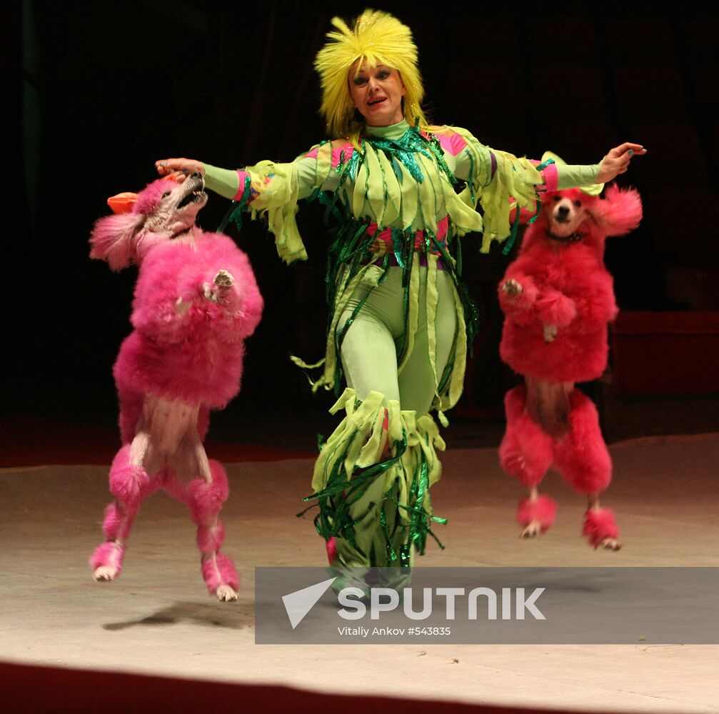 Filatov Circus in Vladivostok