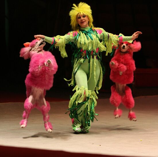 Filatov Circus in Vladivostok