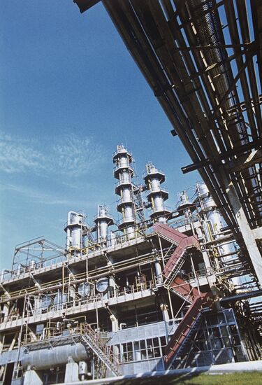 Nizhnekamsk Petrochemical Industrial Association