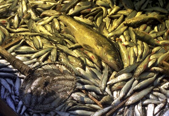 Fishing on Lake Ladoga