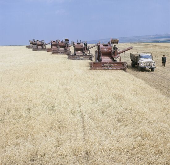 Fields of Volga state farm