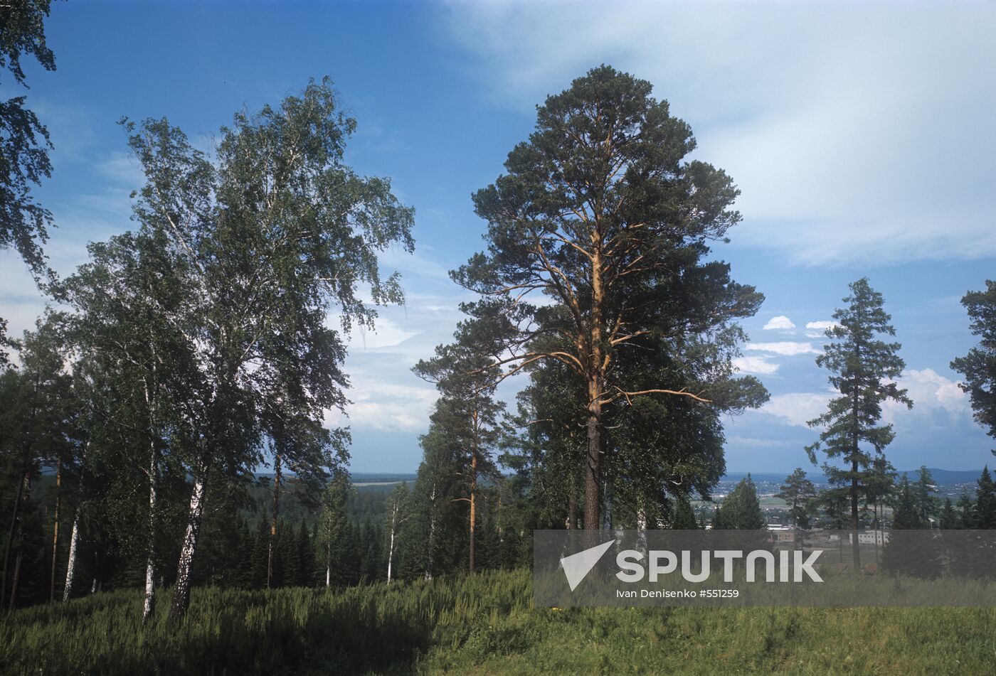 Pervouralsk environs